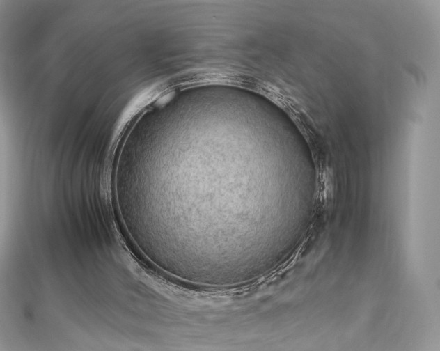 X0000110910004200906181352