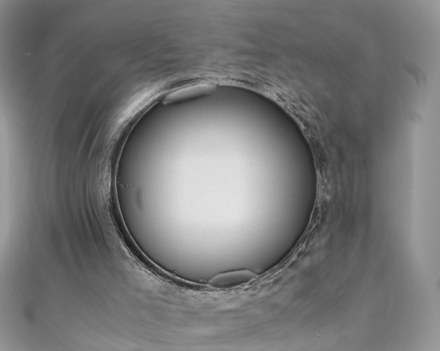 X0000110910005200906181352