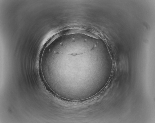 X0000110910006200906181352