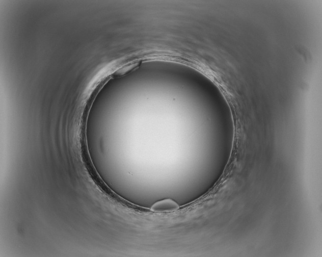 X0000110910007200906181352