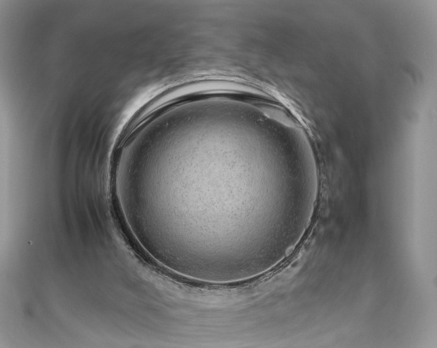 X0000110910008200906181352