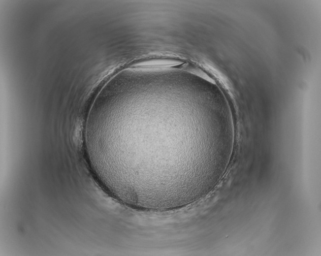 X0000110910009200906181352