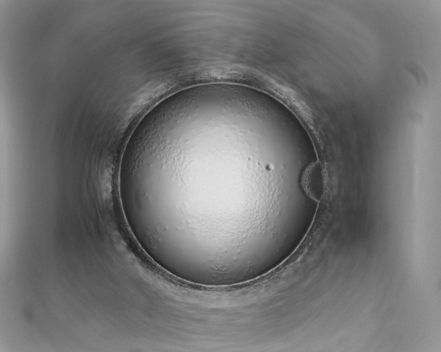 X0000110910010200906181352