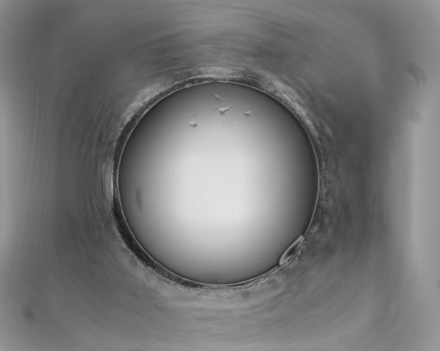 X0000110910011200906181352