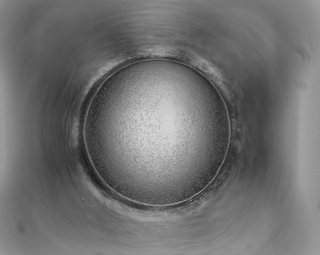 X0000110910012200906181352