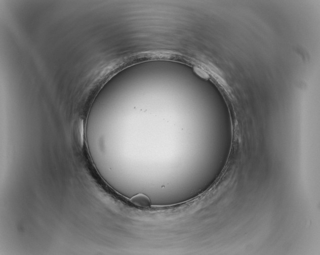 X0000110910013200906181352