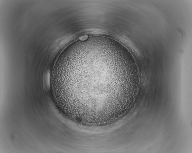 X0000110910014200906181352