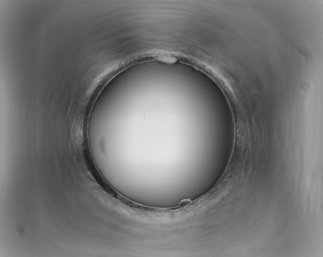 X0000110910015200906181352