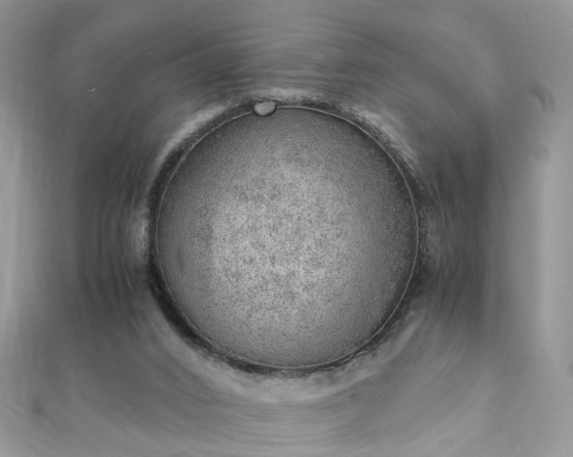 X0000110910016200906181352