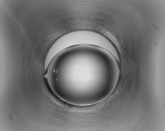 X0000110910017200906181352