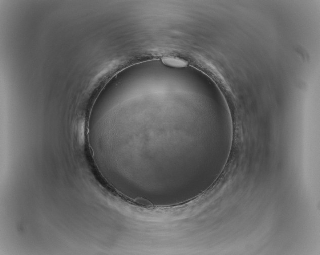 X0000110910019200906181352