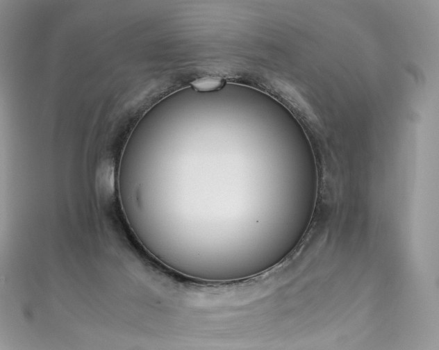 X0000110910021200906181352