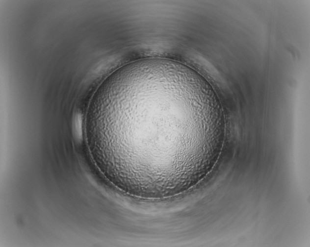 X0000110910022200906181352