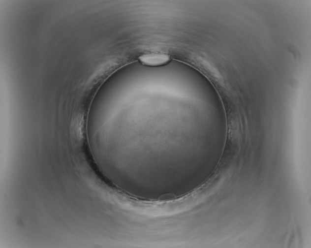 X0000110910023200906181352