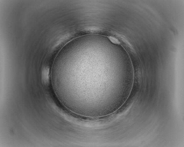 X0000110910024200906181352