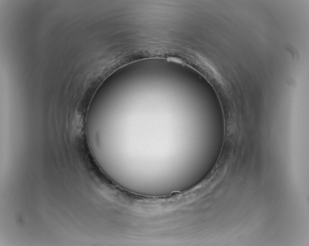 X0000110910025200906181352