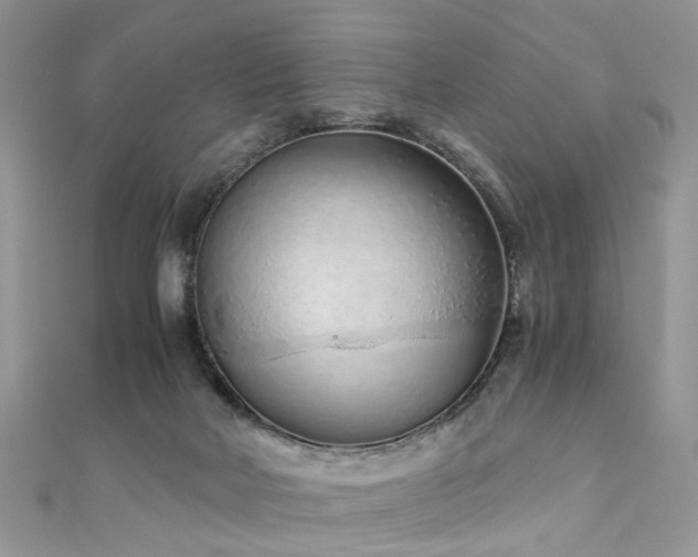 X0000110910026200906181352