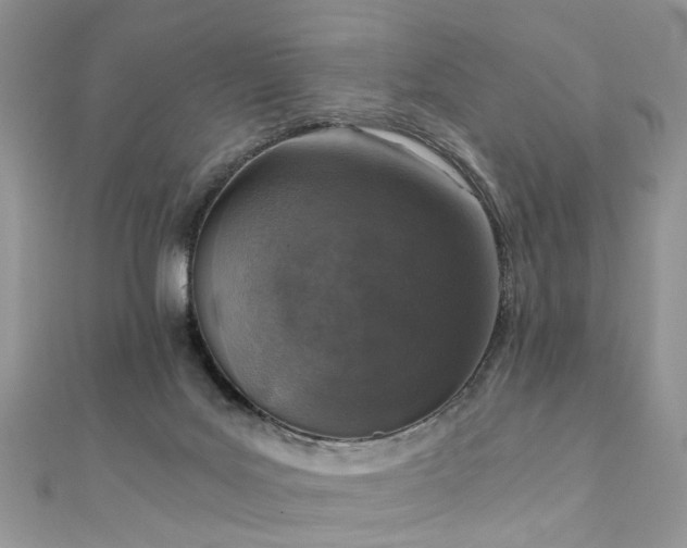 X0000110910027200906181352