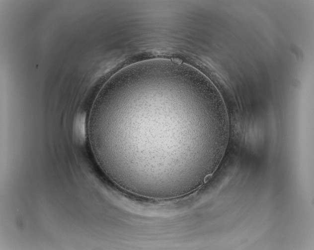 X0000110910028200906181352