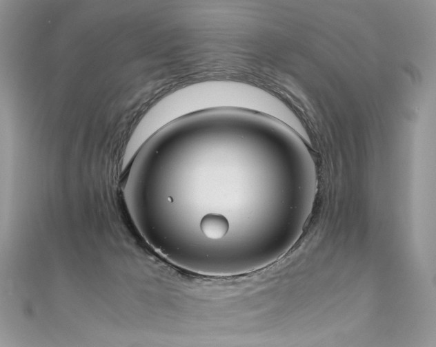 X0000110910029200906181352