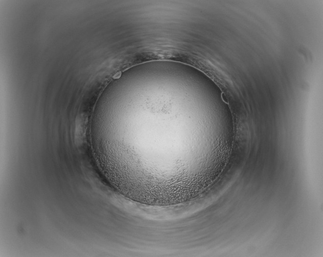 X0000110910030200906181352