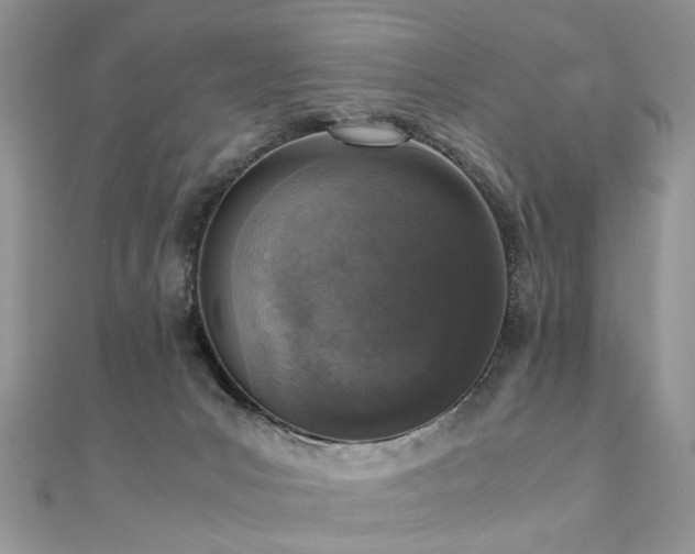 X0000110910031200906181352