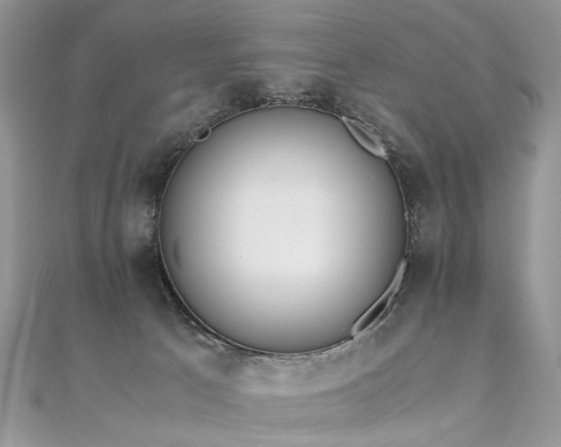 X0000110910033200906181352