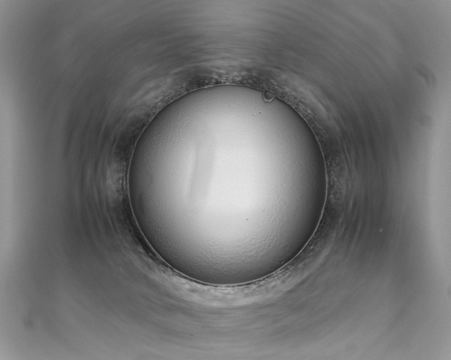 X0000110910034200906181352