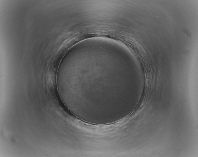 X0000110910035200906181352