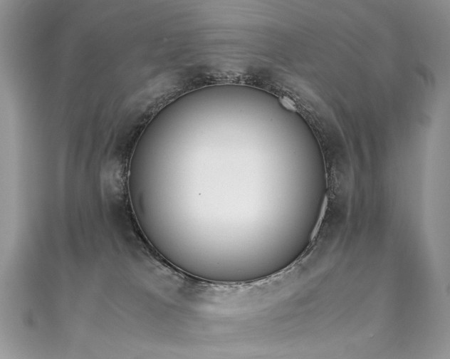 X0000110910037200906181352