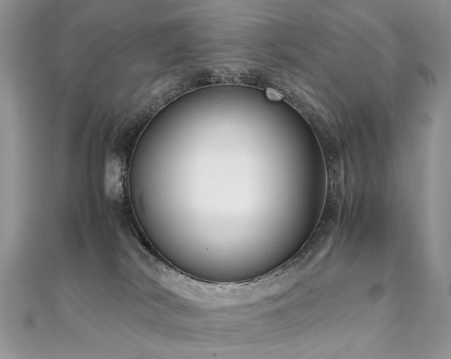 X0000110910038200906181352