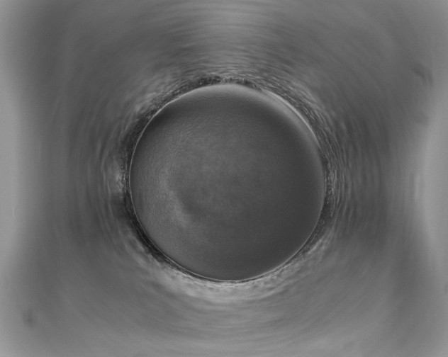 X0000110910039200906181352