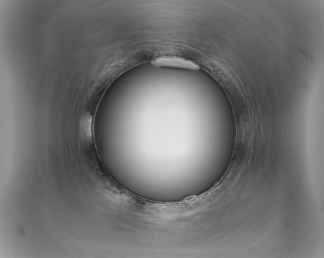 X0000110910041200906181352