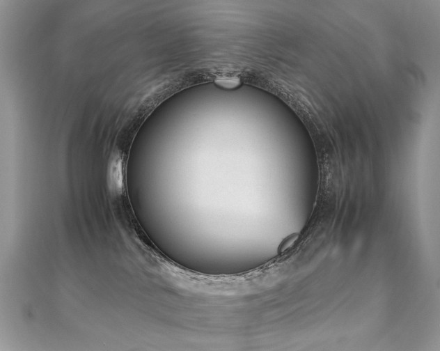 X0000110910042200906181352