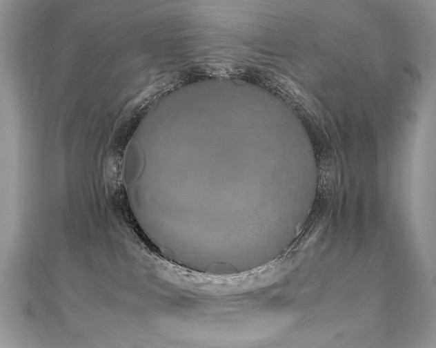 X0000110910043200906181352