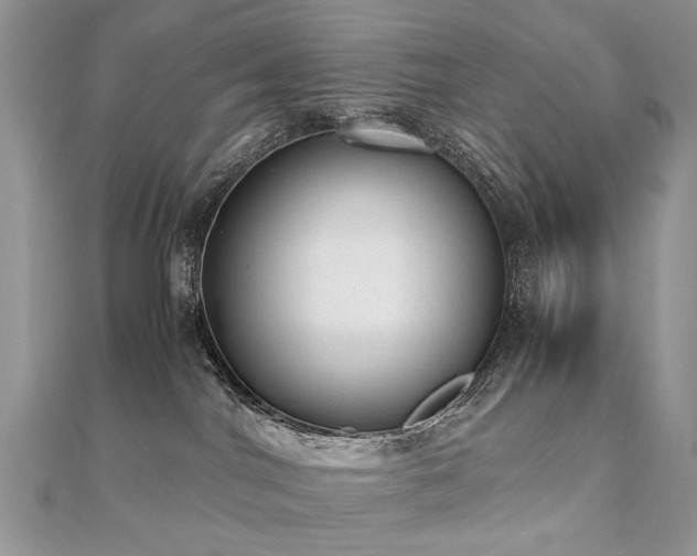 X0000110910044200906181352