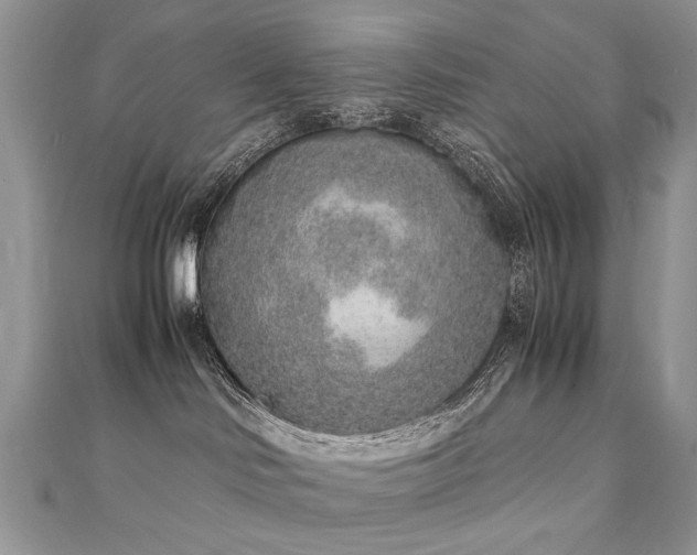 X0000110910046200906181352