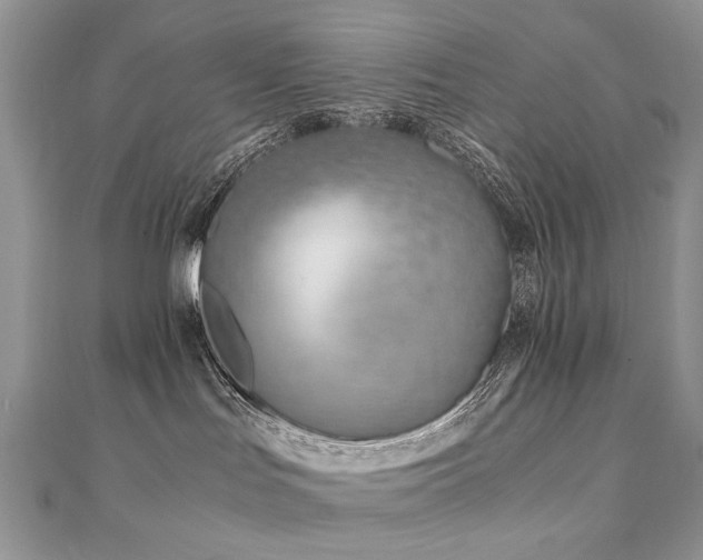 X0000110910047200906181352