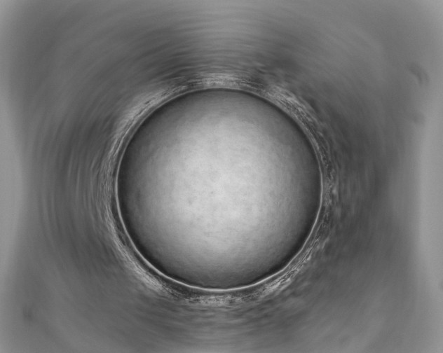 X0000110910049200906181351