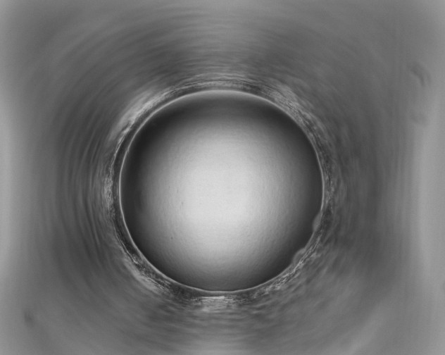 X0000110910050200906181351