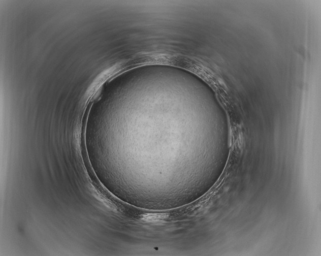 X0000110910051200906181351