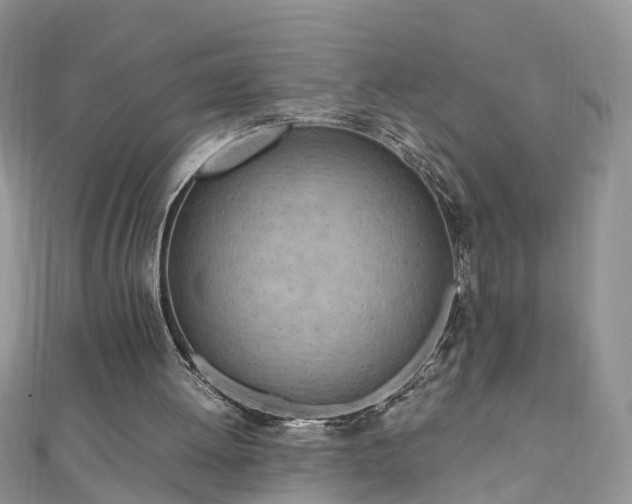 X0000110910052200906181351