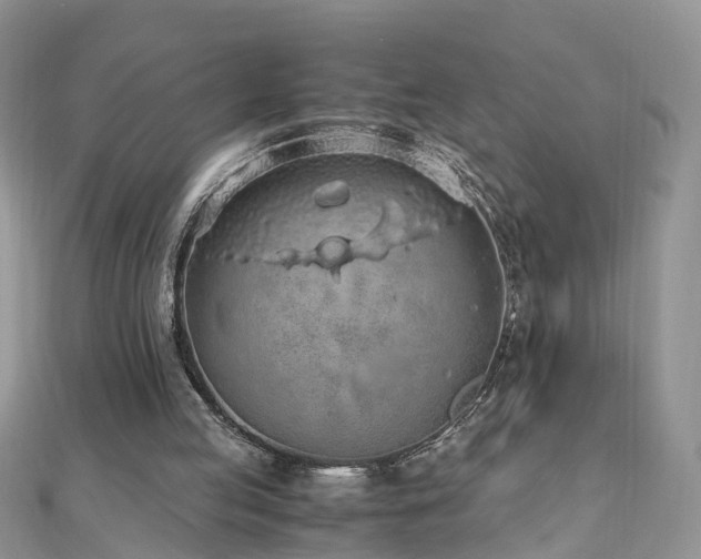 X0000110910053200906181351