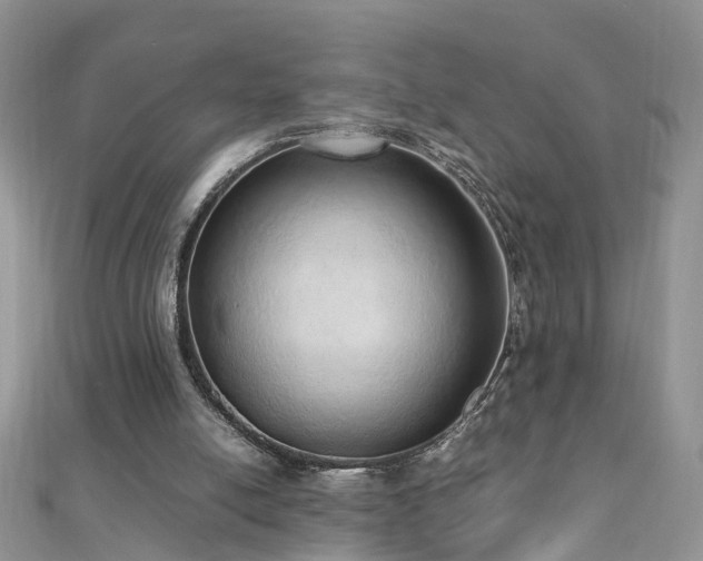 X0000110910054200906181351