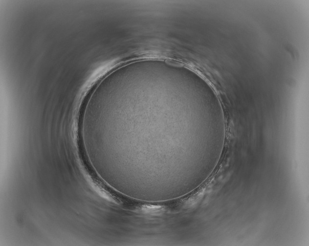 X0000110910055200906181351