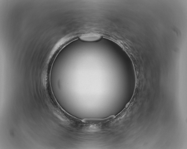 X0000110910056200906181351