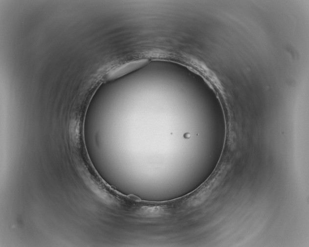 X0000110910057200906181351