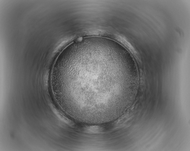 X0000110910058200906181351