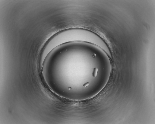 X0000110910060200906181351