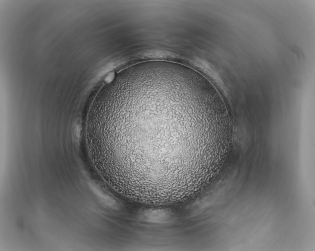 X0000110910063200906181351